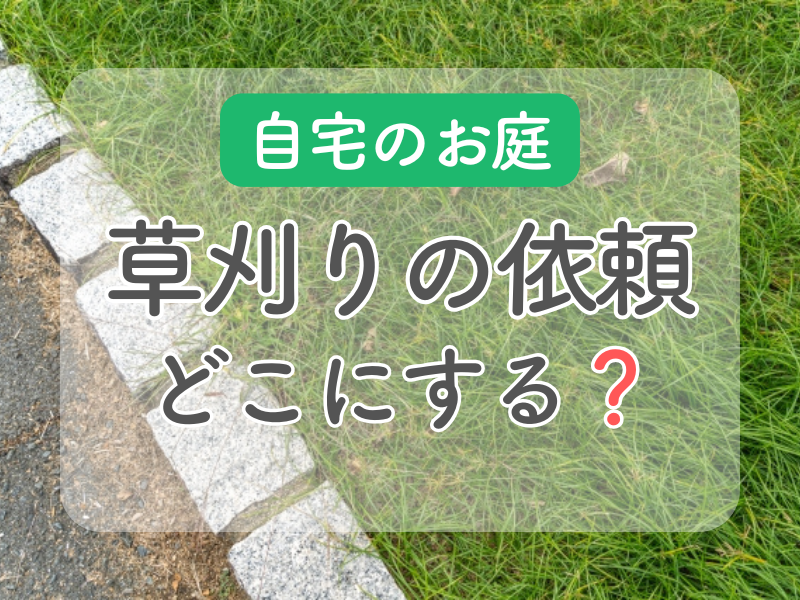 庭の草刈りはどこに依頼したらいい？適切な業者の選び方と料金相場を現役の便利屋さんが解説！ | 新潟市の便利屋！ありがとう、あべさん。