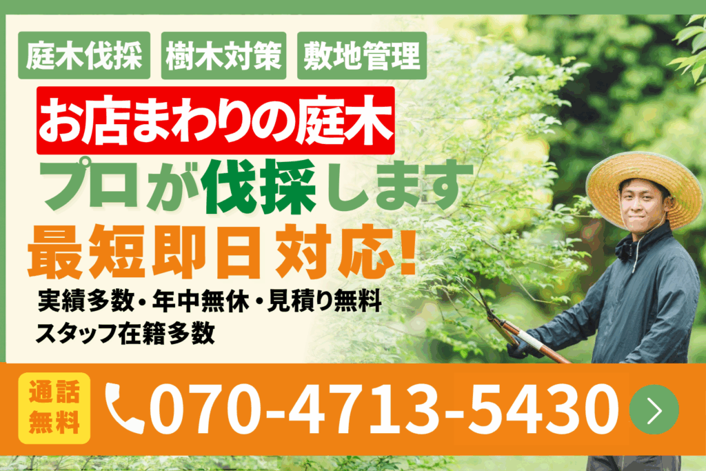 新潟市のお店周りの庭木伐採