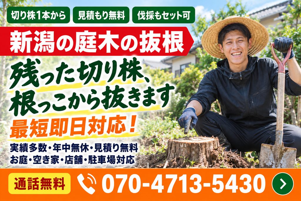 新潟の庭木の抜根｜残った切り株、根っこから抜きます｜便利屋ありがとう、あべさん